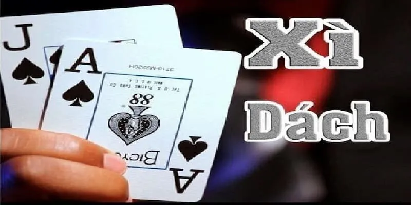 xidach-1-1